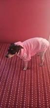 Capucha para perro mascota, ropa de invierno para perros medianos y grandes, chaqueta cálida de lana con capucha, sudadera, abrigo de Bulldog Francés