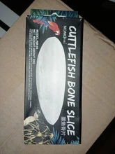 Reptil, tortuga Health de liberación lenta de calcio Mineral jibión para tortuga acuática Bird Feed Cuttlebone Block