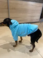 Winer-Ropa para Perro, Sudadera con capucha de diseño puro para gato y Perro, chaqueta para cachorro Chihuahau, Ropa para mascotas, Pug, novedad de 2020