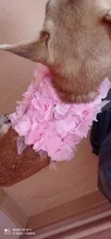 Correa de perro transpirable estéreo con flores, conjunto de Gato, chaleco para cachorro, correas para Chihuahua, Yorkshire Terrier