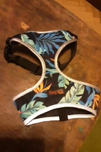 Arnés para perro o gato de nailon, arnés para perro o gato impreso, arneses para perros pequeños, chaleco para caminar para mascotas, correa para gatos, Bulldog Francés, Chihuahua, Yorkshire