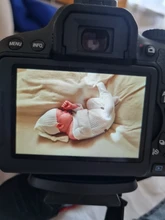 Conjunto de ropa de utilería para recién nacidos, Pelele con pies y botones, 2 uds.