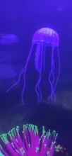 Ornament Jellyfish Aquarium-Decoration Fish-Tank Aquatic-Landscape Underwater-Live-Plant