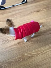 De invierno abrigo para perros ropa para perros cálido espesar sólido perro de colores ropa para perro pequeño perro rojo verde Navidad estilo perro grande chaqueta