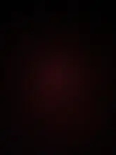 Collar de cuero personalizado para perros y gatos, placa con identificación para mascotas pequeñas