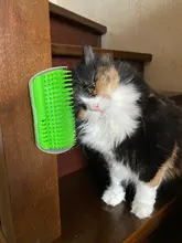 Peine de masaje para gatos, rascador automático, cepillo de esquina de pared, cerdas para rascar, arco de juguete para mascotas, herramienta de depilación de plástico