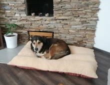 Mats Blanket Mattress Cushion Dogs-House Camas Washable Large Soft For Cats Warm Para