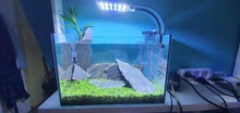 Aquarium-Lights Aquatic-Freshwater-Lamps Fish-Tanks Led-Plants Clip-On-Lamp Waterproof