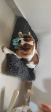 Cama de peluche para perro, largo de lana suave cojín para gato, cachorro, Chihuahua, estera de sofá, almohadilla para perros pequeños y grandes