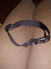 Nulo 1 Uds de Nylon Durable de gato de Color perro Collar del animal doméstico 4 Color Collar ajustable S X M X XL #281494