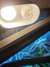 Lámpara para reptiles, accesorio de doble cúpula profunda, accesorio de luz Uvb, cubierta de reflejo óptico, Kit de lámpara de calor para reptiles, soporte combinado