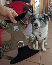 Pet-Harness Light-Safety Outdoor-Product Truelove Small Strong-Dog And Waterproof TLH6282