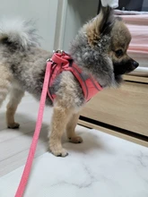 Dog-Harness Vest Leash Accesorios Small Reflective Adjustable Pandada with for Large