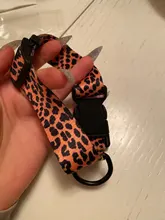 Pet-Accessories Leash-Set Color-Suit Dog-Collar Dogs Leopard Beagle Designe for Pet-Kit