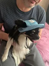 Dog-Cap Headdress-Accessories Puppy Beach-Visor Ear-Holes Dogs Small with for Canvas-Cap