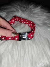 Collar personalizado para perro, collares para mascotas de nilón con estampado de puntos para mascota mediana grande, Pitbull, rojo, azul y negro