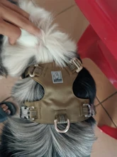 Pet-Harness Light-Safety Outdoor-Product Truelove Small Strong-Dog And Waterproof TLH6282