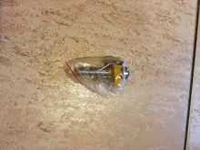 1pc 8mm vástago T-Sloting Router poco broca con rodamiento de madera fresado de ranuras de tipo T Rabbeting madera herramienta para madera MC02091