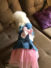Vestidos vaqueros de encaje para perros pequeños, vestido de fiesta de verano para cachorros, princesa Pomeranian, tutú, Shih Tzu, mascota Yorkshire