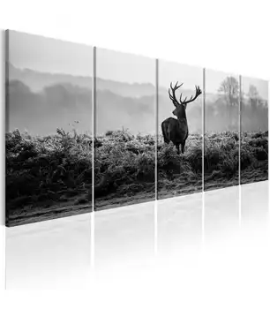 Picture-gray Reality
Picture-gray Reality