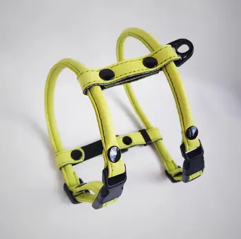 Шлейка для шпица
Шлейка для шпица