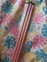 Pinceles de uñas gradientes, esponja para punteo de manicura, bolígrafo recolector, 3 uds.