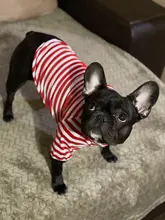 Camiseta fina de cuello redondo a rayas para cachorro perro mascota, ropa suave para perro