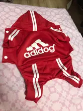 Suéter con capucha Para gato, Ropa cálida Para mascotas, Para gatos, Sphinx, satten, Ropa Para gatos, Kedi, Giyim, productos Para mascotas