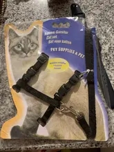 Belt Harness Lead-Leash Pet Dog-Cat-Collar Adjustable Walking Nylon And for Small