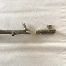 Drillforce-Herramienta de injerto para jardín tijeras de podar, tijeras para árbol frutal, tijeras de podar, herramientas de jardín de corte