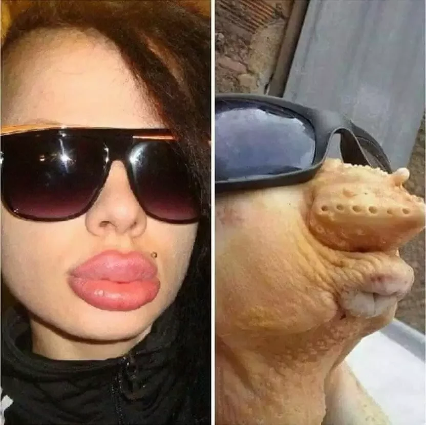 🖼