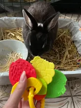 Mordedor de goma suave estilo fruta para bebé, juguete para recién nacido, mordedor de silicona de grado alimenticio, cama de entrenamiento infantil, juguete para morder para chico