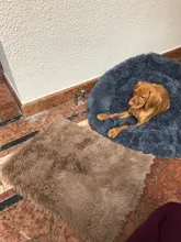 Alfombrilla de lana suave para Cama de Perro, cojín cálido para casa, cachorro, gato, manta para dormir para perros pequeños y grandes, caseta para gatos