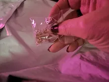 WYSIWYG-10 Uds. De pendientes de tuerca para la oreja, accesorios de fabricación de pendientes, aretes distorsionados dorados, conectores de Base para pendientes