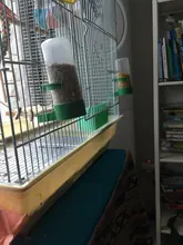 Alimentador de aves, bebedero para mascotas, Clip para equipo agrícola, tamaño: M, 4 unids/lote