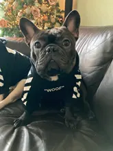 SUPREPET-ropa para perro Bulldog francés, capucha con patrón de rayas, chaqueta para perro Bulldog francés