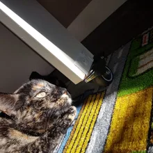 4 Uds muebles ruedas suave giratorio de goma rueda bastante de ruedas para Carro de bebé ruedas para cama hogar accesorio