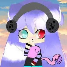 D***k