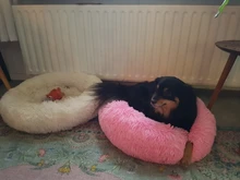 Bastante y mejor 18 colores largo perro de peluche 2017 Top papá Oso Polar animal camas calmante cama Hondenmand cachorro cojín para mascotas de invierno sofá cálido perro camas, perrera