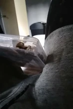 1323 Uds. Kit de cuentas de piedras preciosas irregulares con cuentas espaciadoras cierres de langosta anillos de salto elásticos para suministros de joyería DIY