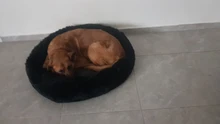 Cama de perro suave juguetes de peluche Donut sátiro ronda perro perrera Ultra lavables suaves perro gato cojín de cama de sofá cálido Venta caliente