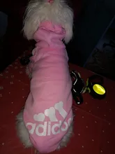 Sweatshirt Hooded Adidog Four-Seasons Pet-Jacket Small Cotton Warm And Medium-Sized Hot-Sale