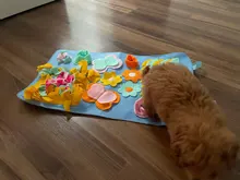 Alfombrilla de entrenamiento para perros y mascotas, manta de olfting, almohadillas de lana desmontables, esterilla para perros, alivia el estrés, rompecabezas, juguete para mascotas, almohadilla para la nariz
