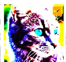 220V Small Mini Ceramic Emitter Heater Lamp Light Bulbs Far IR Heating Brooder RXJB