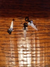 Fishing-Accessories Hook Stop-Screw Chod Boilies Ronnie-Rig Carp with Pop-Up 20PCS Used