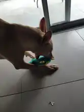 Dog-Toys Interactive Dogs-Resistant Plush-Squeaky Aggressive Chewers Pet-Supplies Stuffed