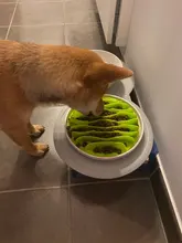 Slow-Feeder Bowl Bloat-Supplies Puppy Eating Feeding Stop Jungle-Design Food Anti-Slip