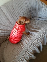 De invierno abrigo para perros ropa para perros cálido espesar sólido perro de colores ropa para perro pequeño perro rojo verde Navidad estilo perro grande chaqueta
