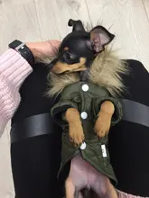 Hoodie Clothing Pet-Jacket Dog-Coat Small Dogs Chihuahua For Yorkshire Winter Cotton