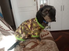 De lana caliente ropa de perro mascota lindo cráneo impreso Pet cachorro camisa para perros chaqueta Bulldog francés Jersey camuflaje perro ropa